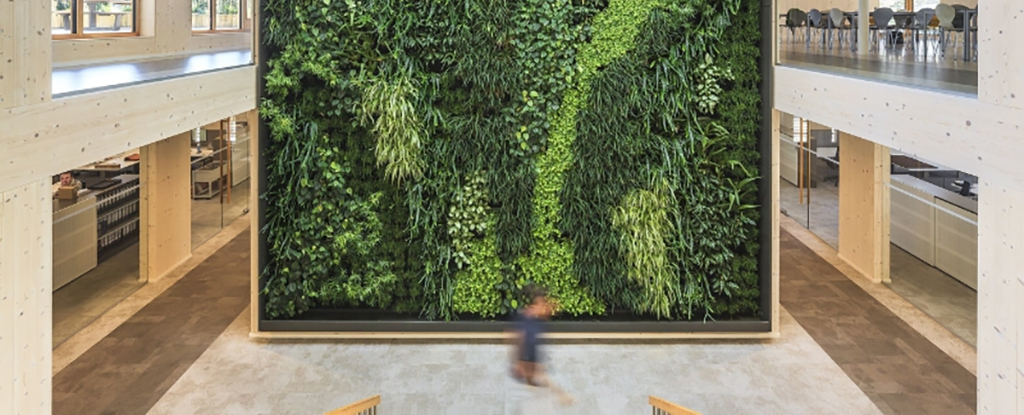 �칫¥װ�����-�칫¥����