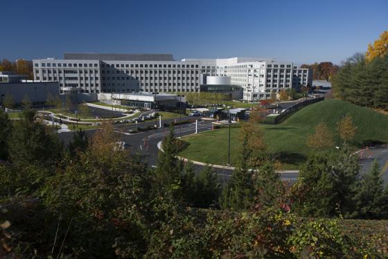 政府办公楼装修设计-办公楼前绿化