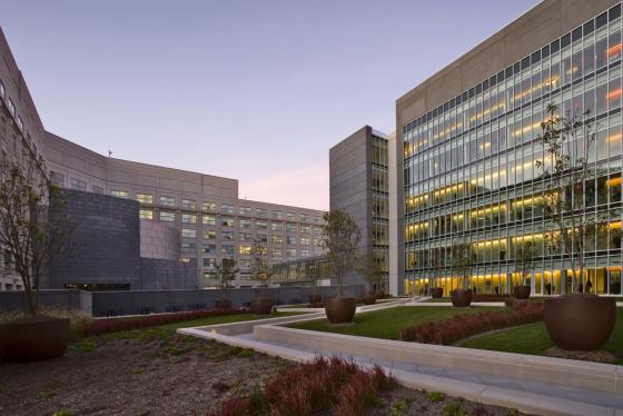 政府办公楼装修设计